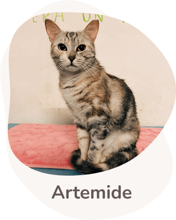 Una tenera immagine di Artemide