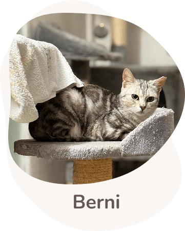 Una tenera immagine di Berni