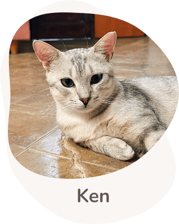 Una tenera immagine di Ken