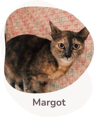 Una tenera immagine di Margot