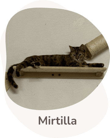 Una tenera immagine di Mirtilla