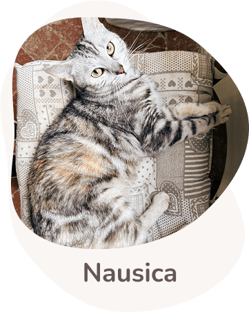 Una tenera immagine di Nausica
