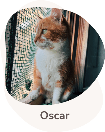 Una tenera immagine di Oscar