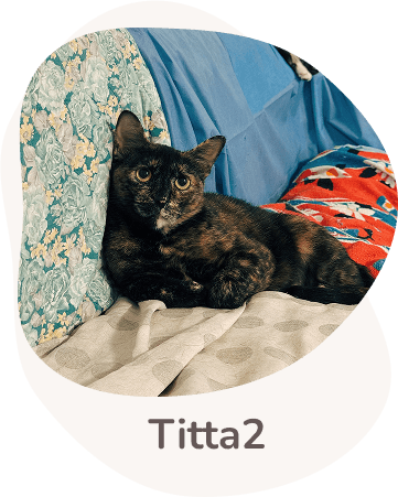 Una tenera immagine di Tittadue