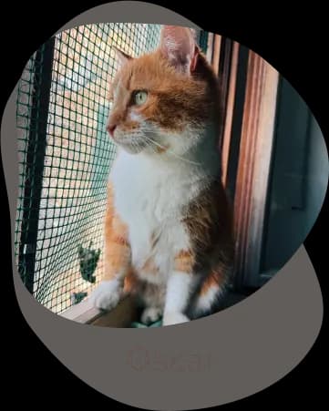 Una tenera immagine di Oscar