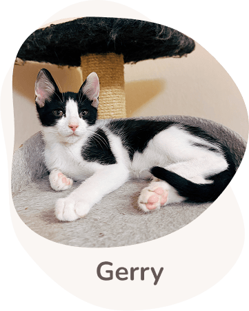 Una tenera immagine di gerry