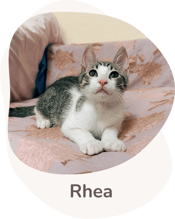 Una tenera immagine di rhea