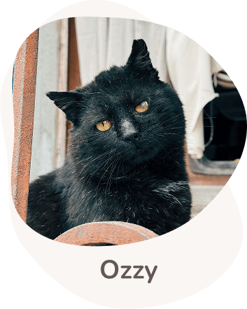 Una tenera immagine di Ozzy