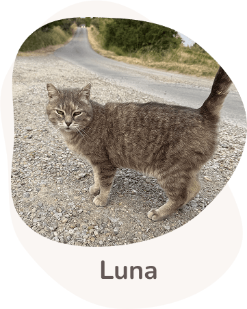 Una tenera immagine di Luna