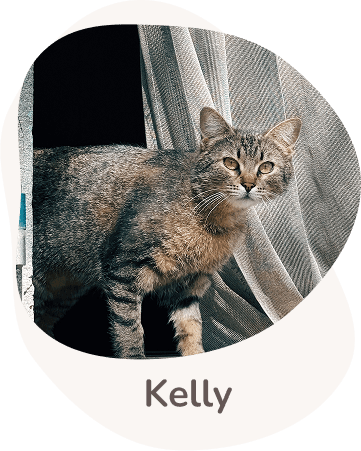 Una tenera immagine di Kelly