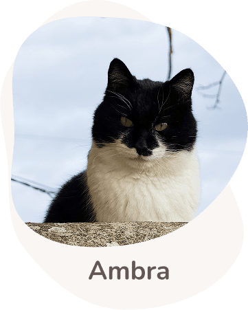 Una tenera immagine di Ambra