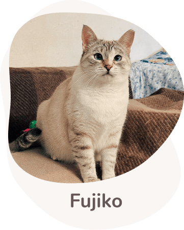 Una tenera immagine di Fujiko