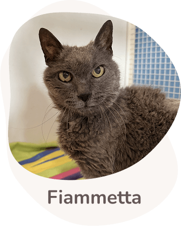 Una tenera immagine di Fiammetta