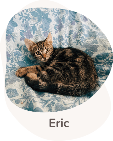 Una tenera immagine di Eric