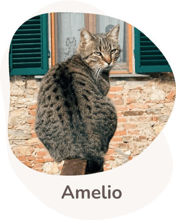 Una tenera immagine di Amelio