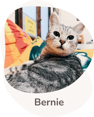 Una tenera immagine di Bernie