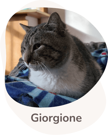 Una tenera immagine di Giorgione