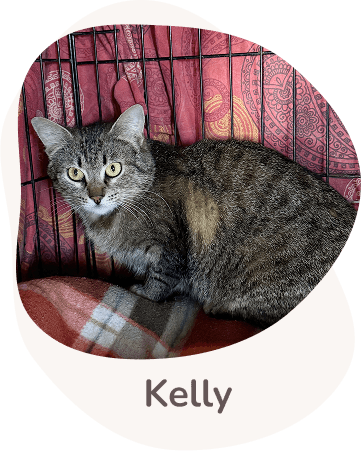 Una tenera immagine di Kelly