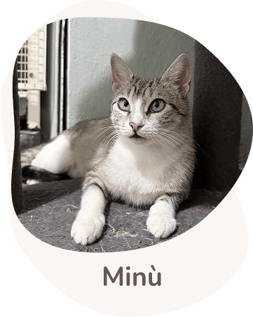 Una tenera immagine di Minu