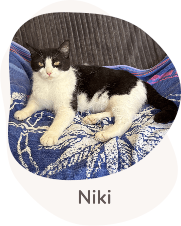 Una tenera immagine di niki