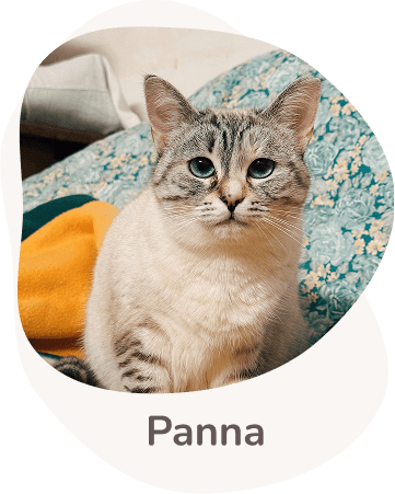 Una tenera immagine di Panna