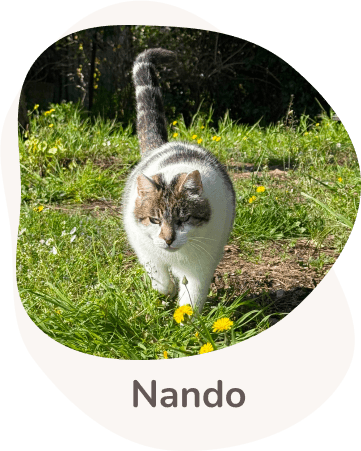 Una tenera immagine di Nando