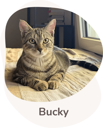 Una tenera immagine di Bucky