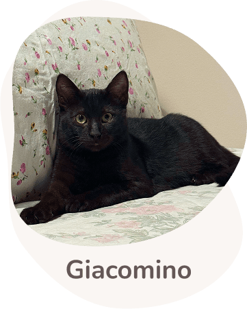 Una tenera immagine di Giacomino